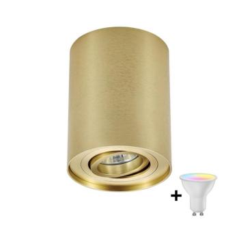 Zuma Line 94354-N - LED RGBW dimmelhető spotlámpa RONDOO 1xGU10/4,8W/230V arany + távirányító ZL0286+AI2382 kép